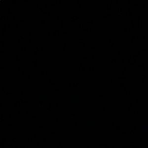 Meet your Posher, Isabella